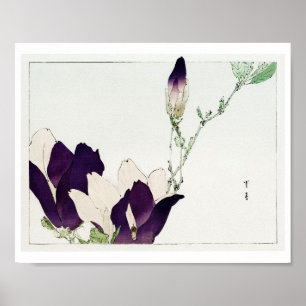 Poster Fleur de Magnolia Violet, Watanabe Seitei