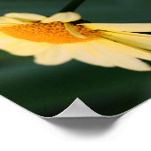Poster Fleur de marguerite jaune fermer miroir Abstrait (Coin)