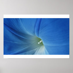 Poster Fleur de matin