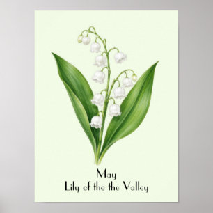 Poster Fleur de Muguet de Mai