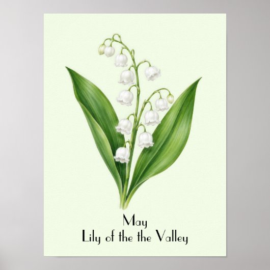 Poster Fleur de Muguet de Mai (Devant)