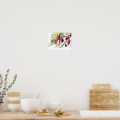 Poster Fleur de mûrier rouge (Cuisine)