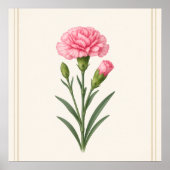 Poster Fleur de naissance de janvier, Carnation Botanique (Devant)