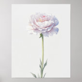 Poster Fleur de naissance Janvier Carnation (Devant)