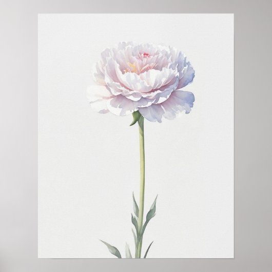 Poster Fleur de naissance Janvier Carnation (Devant)