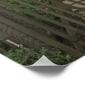 Poster fleur de nantucket (Coin)