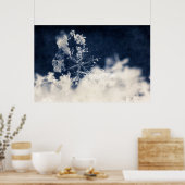 Poster Fleur de neige (Cuisine)