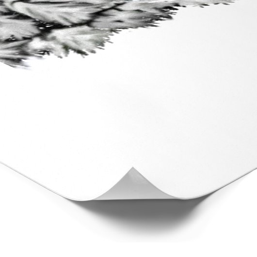 Poster Fleur de neige (Coin)