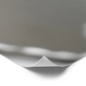 Poster Fleur de neige japonaise (Coin)