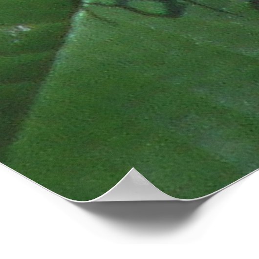 Poster Fleur de passion et papillon (Coin)