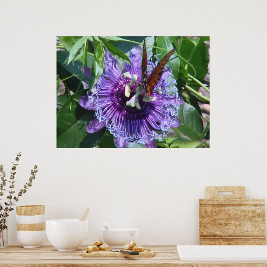 Poster Fleur de passion et papillon (Cuisine)