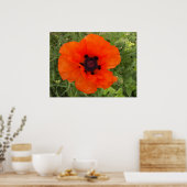 Poster Fleur de pavot (Cuisine)