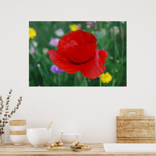 Poster Fleur de pavot et signification (Cuisine)