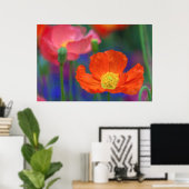 Poster Fleur de pavot orange vibrant (Bureau à domicile)