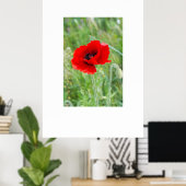Poster Fleur de pavot rouge (Bureau à domicile)