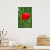 Poster Fleur de pavot rouge sauvage (Cuisine)