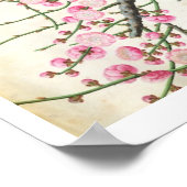 Poster Fleur de pêche (couleur sur papier) (Coin)