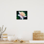 Poster Fleur De Peine Rose En Fleur Grosse (Cuisine)