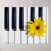 Poster Fleur de piano (Devant)