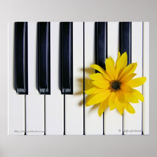 Poster Fleur de piano (Devant)