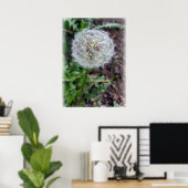 Poster fleur de pissenlit (Bureau à domicile)