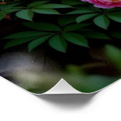Poster Fleur de pivoine (Coin)