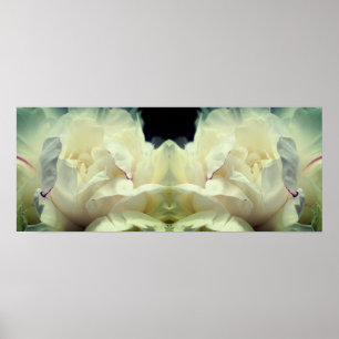 Poster Fleur de pivoine blanche dans miroir de fleurs Abs
