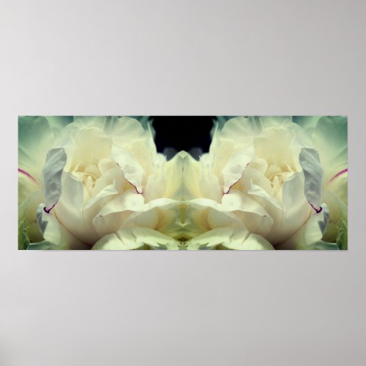 Poster Fleur de pivoine blanche dans miroir de fleurs Abs (Devant)