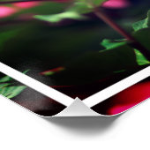 Poster Fleur de pivoine rose dans le jardin-33333 (Coin)