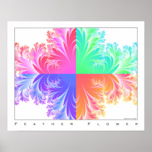 Poster Fleur de plume