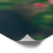 Poster Fleur de pomme (Coin)