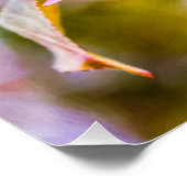 Poster Fleur de pomme rose (Coin)