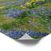 Poster Fleur de printemps du désert (Coin)