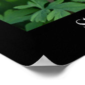 Poster Fleur de printemps, papier d'affiche de valeur (ma (Coin)