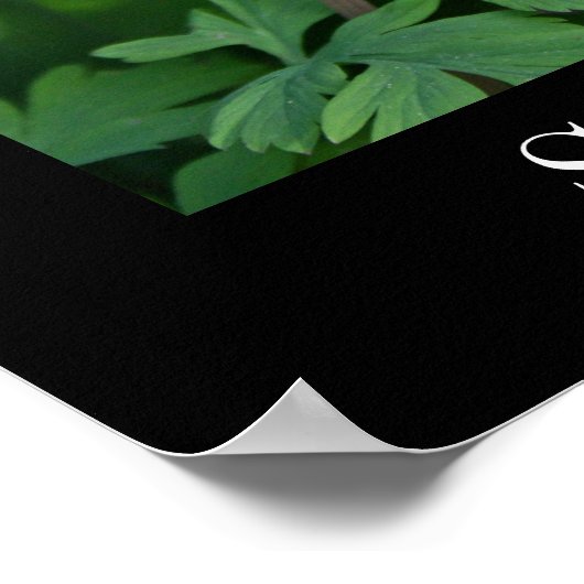 Poster Fleur de printemps, papier d'affiche de valeur (ma (Coin)