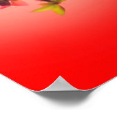 Poster Fleur de printemps sur arrière - plan rouge (Coin)