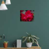 Fleur de Rhododendron Rose Profond Photographie Fl