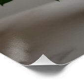 Poster Fleur de rose (Coin)