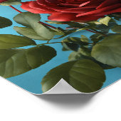 Poster Fleur de rose (Coin)