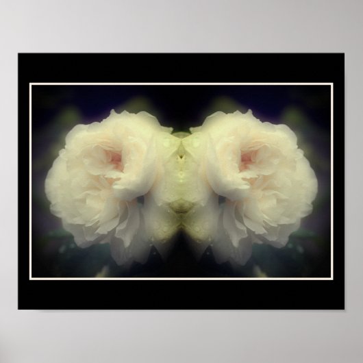 Poster Fleur de rose blanche dans le miroir de fleurs Abs (Devant)