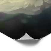 Poster Fleur de rose blanche dans le miroir en fleurs com (Coin)