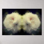 Poster Fleur de rose blanche dans le miroir en fleurs com (Devant)