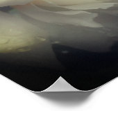 Poster Fleur de rose blanche en pleine floraison (Coin)