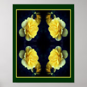 Poster Fleur de rose jaune dans miroir en fleurs complète (Devant)
