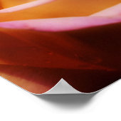 Poster Fleur de rose jaune teint (Coin)