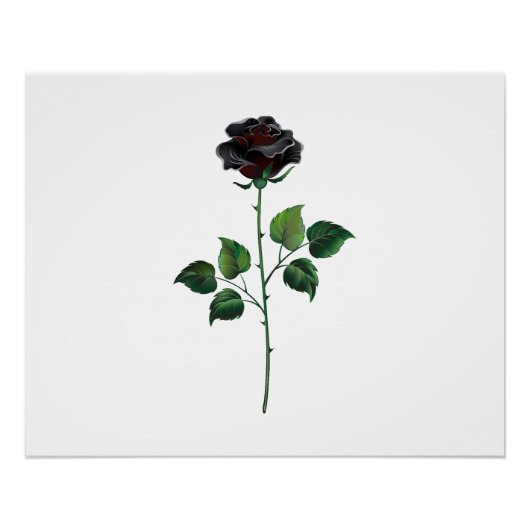 Poster Fleur de rose noire (Devant)