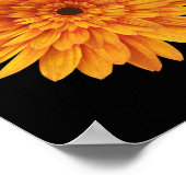 Poster fleur de tournesol fleurs (Coin)