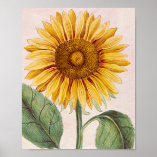 Poster Fleur de tournesol vintage joyeuse