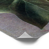 Poster Fleur de tulipe (Coin)