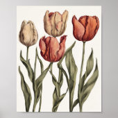 Poster Fleur de tulipe (Devant)